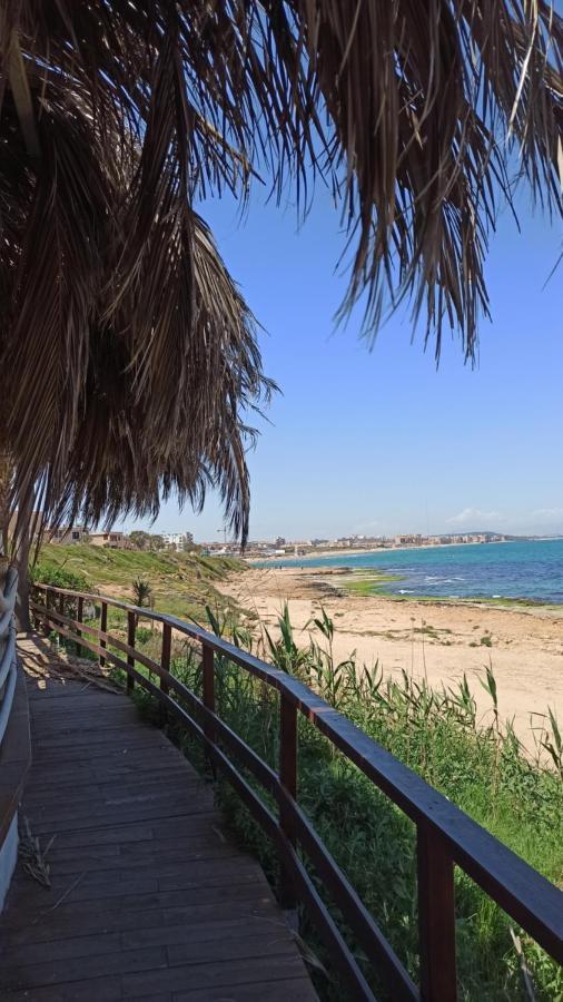 Apartment Only 250M From The Beach Los Locos Torrevieja Eksteriør bilde